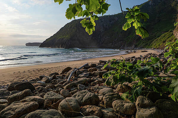 Wall Art - Photograph - Secluded Beach by Charles Winmar