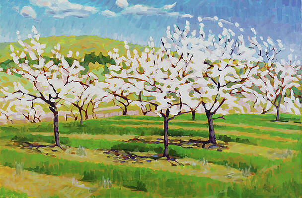 Secret Cherry Orchard by Carrie Hensel Secret Cherry Orchard by Carrie Hensel