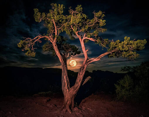 Sedonas Last Supermoon 2020 by Heber Lopez Sedonas Last Supermoon 2020 by Heber Lopez