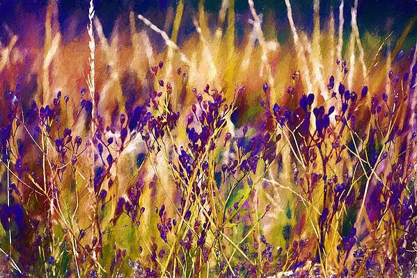 Seedheads I by Charmaine Zoe Seedheads I by Charmaine Zoe