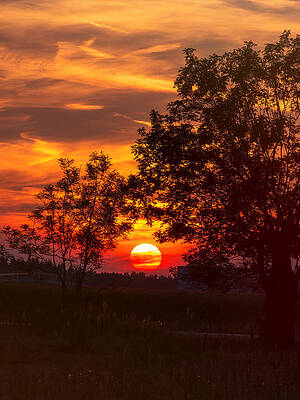 Wall Art - Photograph - September Sun 3 by Jaroslav Buna