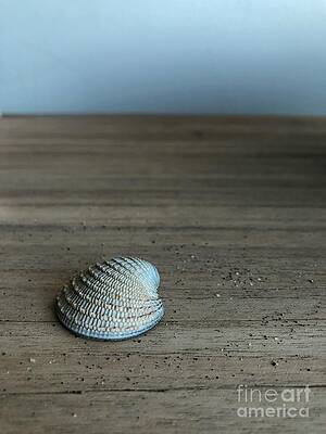 Shades of Blue by Diana Rajala Shades of Blue by Diana Rajala