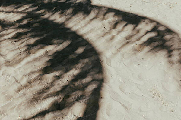 Wall Art - Photograph - Shadow of paradise by Nova Rae