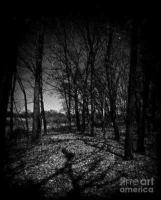 Wall Art - Photograph - Shadows Trees Landscape - Holga by Frank J Casella