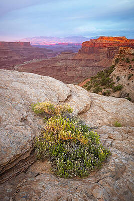 Shafer Canyon Overlook by Whit Richardson Shafer Canyon Overlook by Whit Richardson