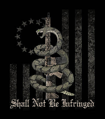 Shall Not Be Infringed by Founded on Greatness Shall Not Be Infringed by Founded on Greatness