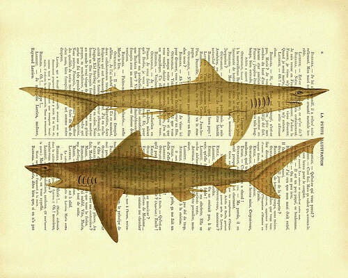 Shark Attack Art for Sale - Pixels