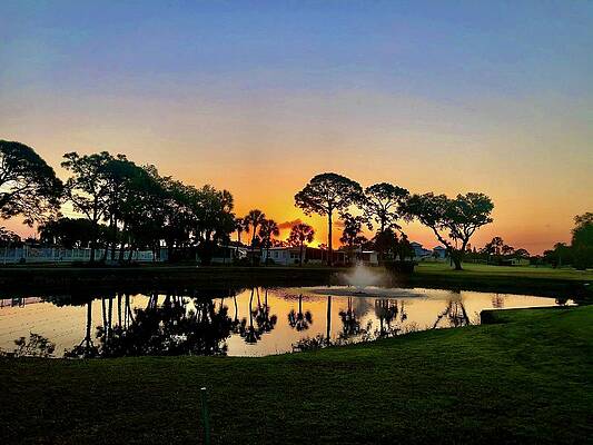 Big Momma Pond by Cornelia DeDona Big Momma Pond by Cornelia DeDona
