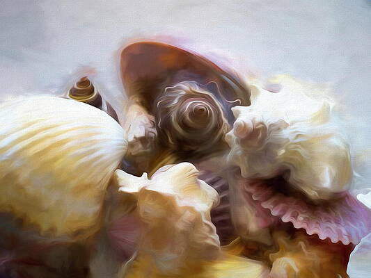 Wall Art - Mixed Media - Shell Overflow 3 by Lynda Lehmann