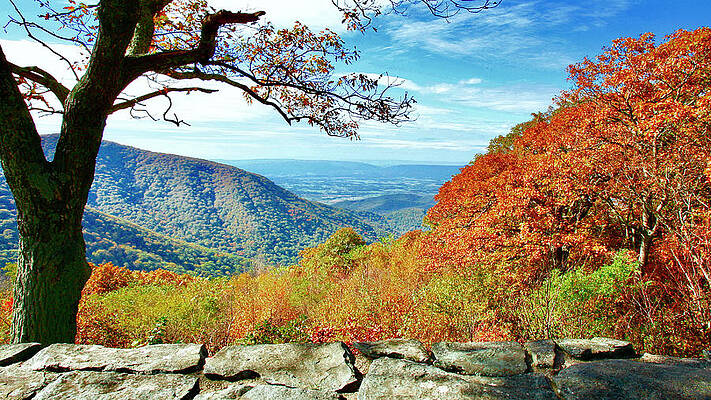 Shenandoah Valley, Skyline Drive VA 02 by The James Roney Collection Shenandoah Valley, Skyline Drive VA 02 by The James Roney Collection
