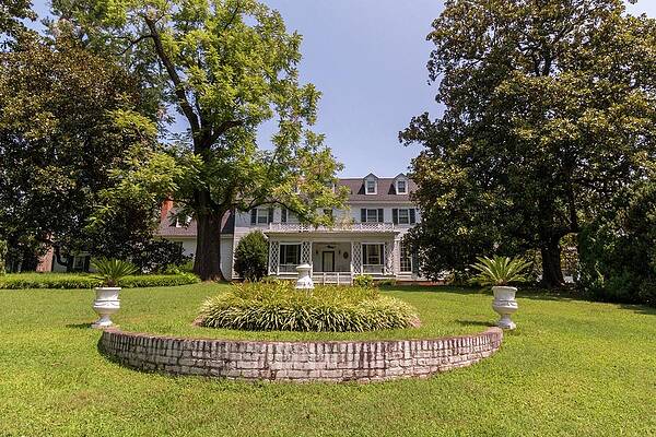 Sherwood Forest Front Yard by Liza Eckardt Sherwood Forest Front Yard by Liza Eckardt