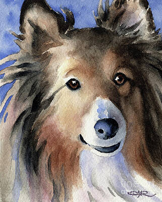 Details about   Sheltie for President Dog Pop Art Print 8x10 Shetland Sheepdog Collectible KSams 