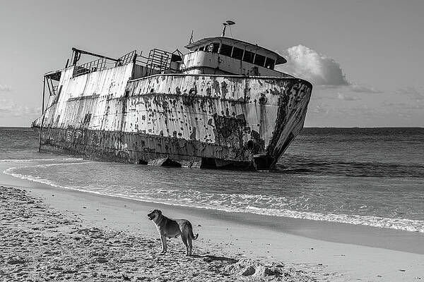 Shipwrecked by Arthur Oleary Shipwrecked by Arthur Oleary
