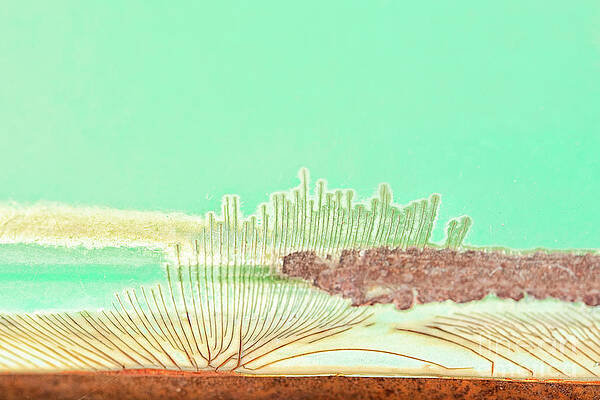 Wall Art - Photograph - Shoreline Garden by Marilyn Cornwell