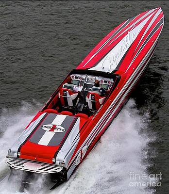 SHOWBOAT by EliteBrands Co SHOWBOAT by EliteBrands Co