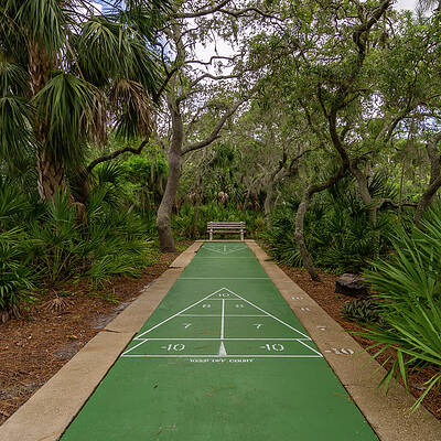 Shuffle Board in the Jungle by Rolf Bertram Shuffle Board in the Jungle by Rolf Bertram