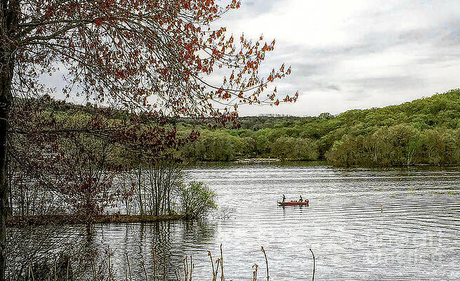 Wall Art - Photograph - Silent Waters by Xine Segalas