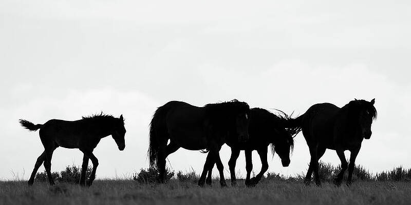 Silhouette Family by Mary Hone Silhouette Family by Mary Hone