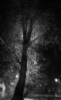 Wall Art featuring the digital art Silhouette Of A Tree Behind A Light Pole In The Night - Black And White Digital Painting by Nicko Prints