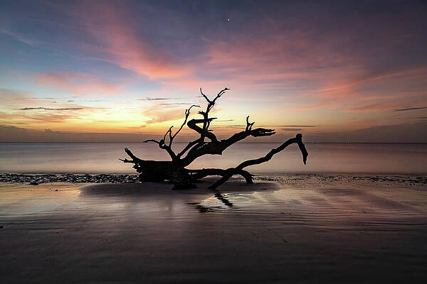 Silhouette Of Solitude by Gregory Ballos
