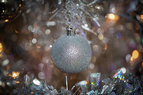 Silver Ball on Silver Tree by Lora J Wilson Silver Ball on Silver Tree by Lora J Wilson