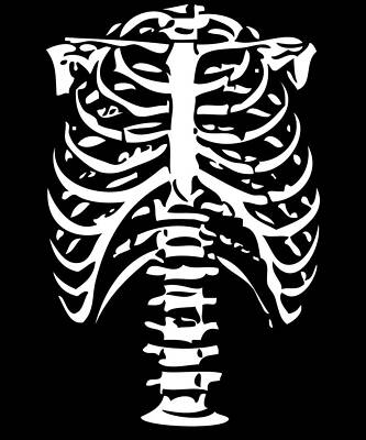 Wall Art - Digital Art - Skeleton Ribs Bones by Flippin Sweet Gear