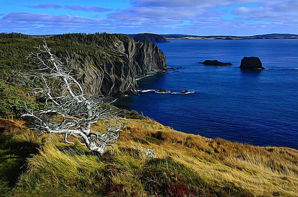 Skerwink Trail II - Trinity East, NL by Peter Harris