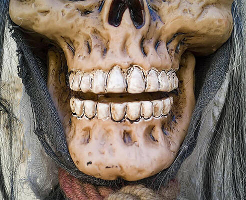 Skull Mask by C H Apperson Skull Mask by C H Apperson