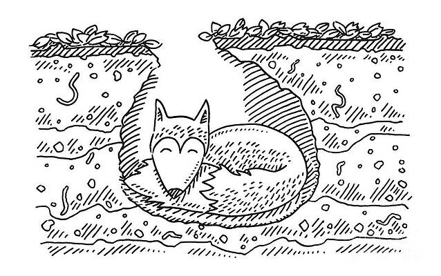 Wall Art - Drawing - Sleeping Cartoon Fox In A Cave Drawing by Frank Ramspott