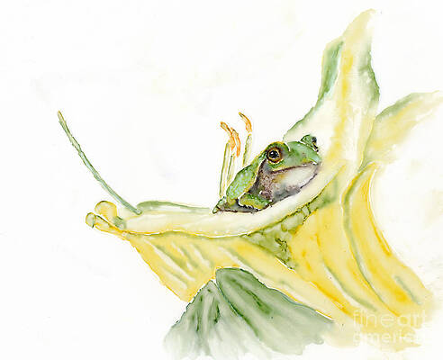 Sleepy Frog by Jan Killian Sleepy Frog by Jan Killian