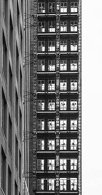 Wall Art - Photograph - Slim Neighbor by Elvira Peretsman
