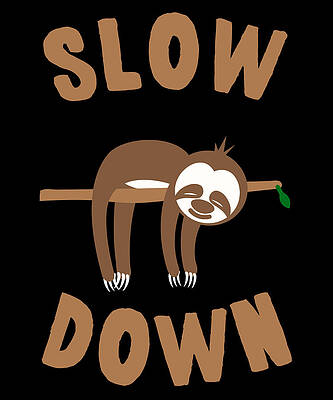 Wall Art - Digital Art - Slow Down Sloth by Flippin Sweet Gear