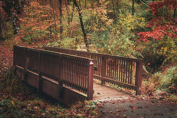 Small Footbridge in Autumn - Trexler Nature Preserve by Jason Fink Small Footbridge in Autumn - Trexler Nature Preserve by Jason Fink