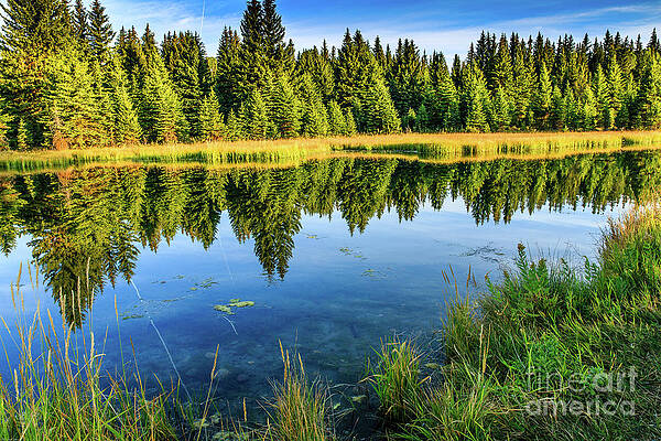 Snake River Reflections by Ben Graham Snake River Reflections by Ben Graham