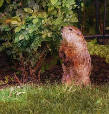 Sniff Sniff by Diane Lindon Coy Sniff Sniff by Diane Lindon Coy