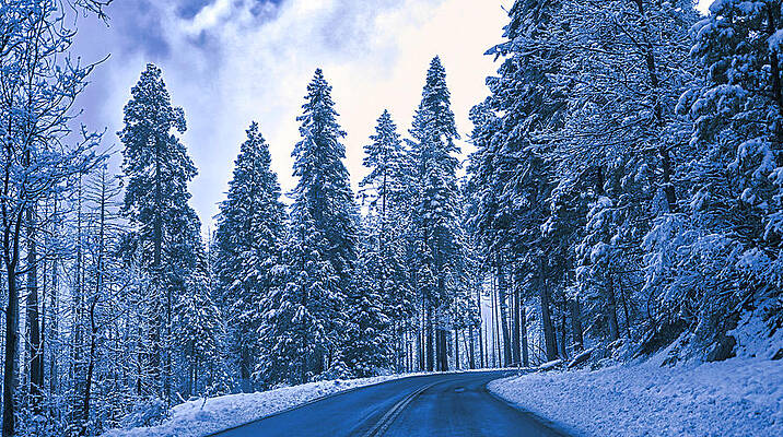 Snow Drive by Suguna Ganeshan Snow Drive by Suguna Ganeshan