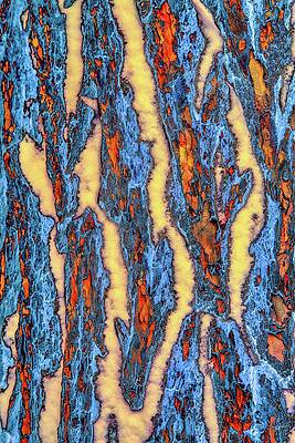 Wall Art - Digital Art - Snow in Tree Bark by Bruce Block