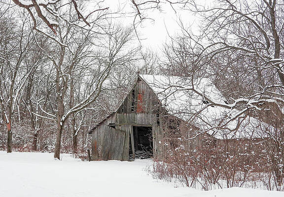 Snowy Barn by Wendy Carrington Snowy Barn by Wendy Carrington