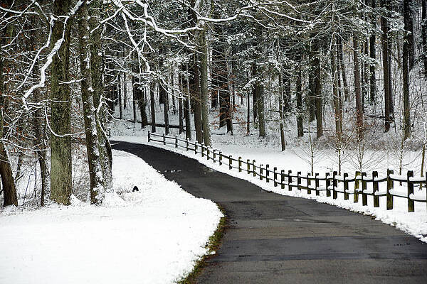 Snowy Fence by Mike Murdock Snowy Fence by Mike Murdock
