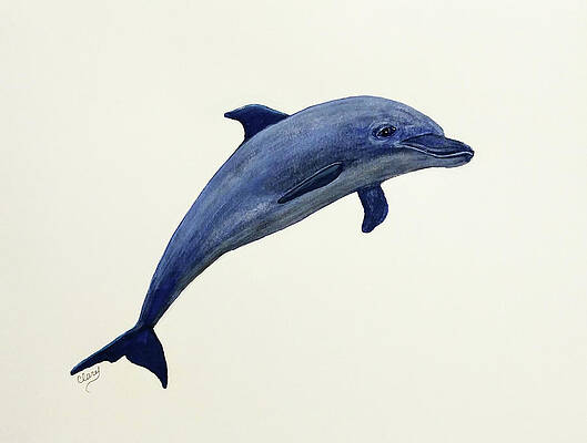So Long and Thanks for all the Fish by Linda Clary So Long and Thanks for all the Fish by Linda Clary