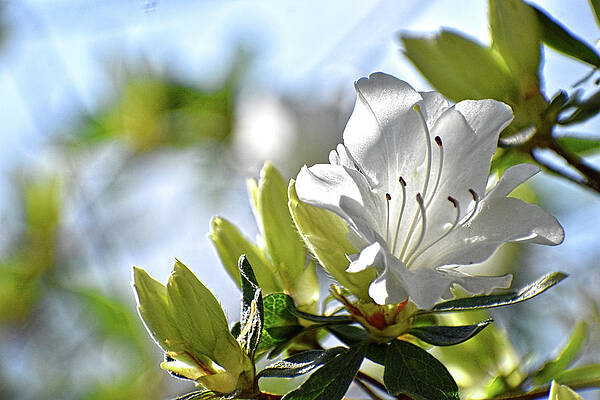Soak up the sun by Jason Bohannon Soak up the sun by Jason Bohannon
