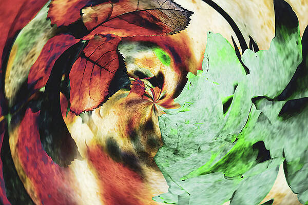 Soft Autumn Earth by Mich K Soft Autumn Earth by Mich K