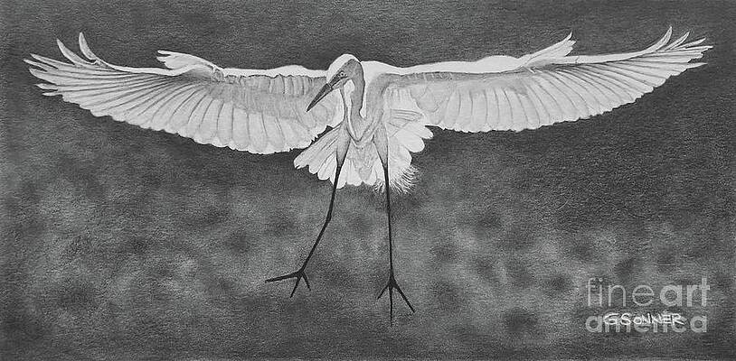 Soft Landing by George Sonner Soft Landing by George Sonner
