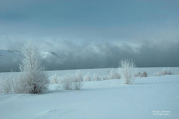 Soft Light by Roy Kastning Soft Light by Roy Kastning