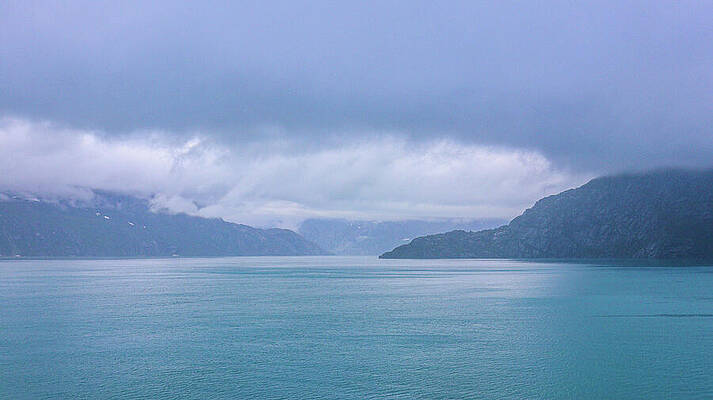 Wall Art - Photograph - Some Glacier Bay National Park by Ed Williams