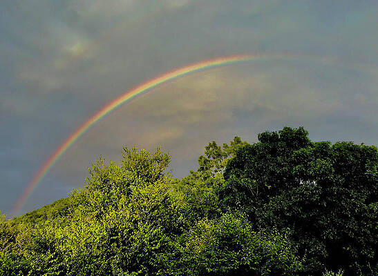 Somewhere Over The Rainbow by Adrienne Copeland