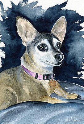 Wall Art - Painting - Sophie - Chihuahua dog painting by Dora Hathazi Mendes