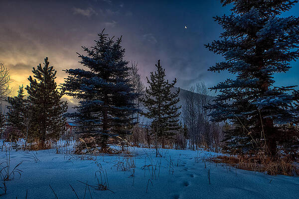 Source by Arizona Photographer Chuck Taylor Source by Arizona Photographer Chuck Taylor