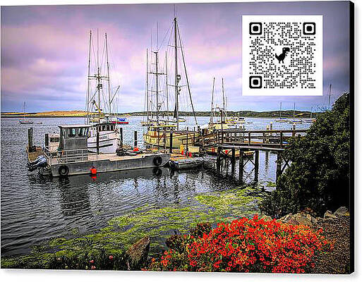 Wall Art - Photograph - South Bay Working Dock QR Code purchase only by Floyd Snyder