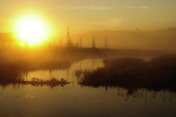 Wall Art - Photograph - South Lake Sunrise by Bob Grabowski
